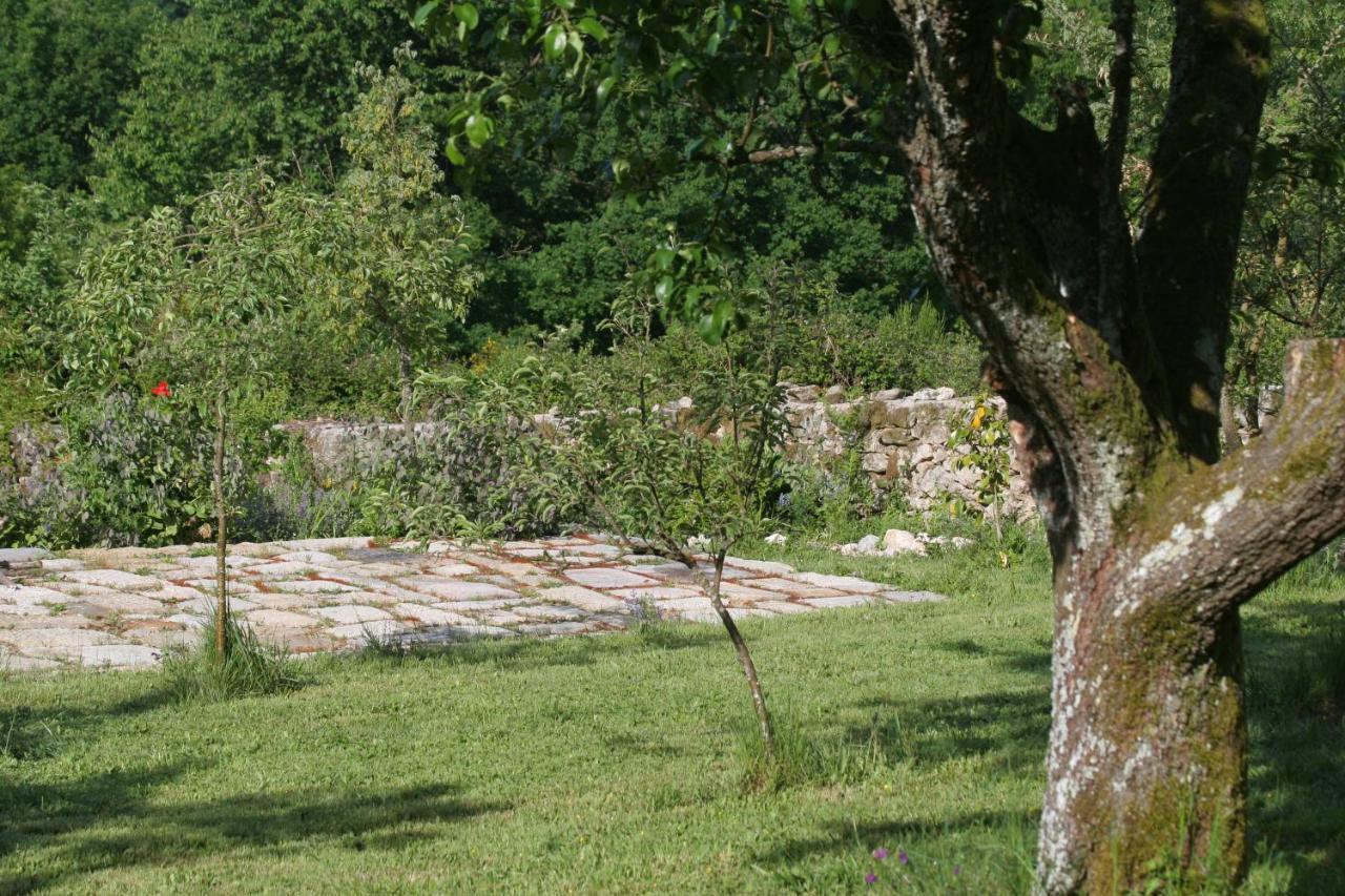 Pazo De Chaioso Ribeira Sacra Maceda Екстер'єр фото